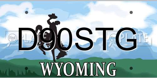 D90STG Wyoming License Plate