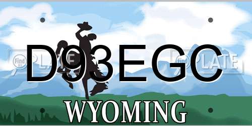 D93EGC Wyoming License Plate