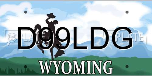 D99LDG Wyoming License Plate