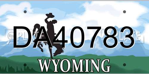 DA40783 Wyoming License Plate