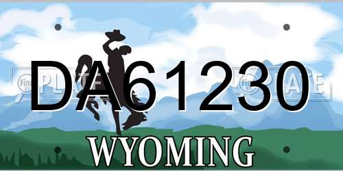 DA61230 Wyoming License Plate