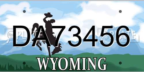 DA73456 Wyoming License Plate