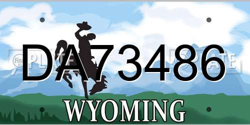 DA73486 Wyoming License Plate