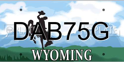 DAB75G Wyoming License Plate