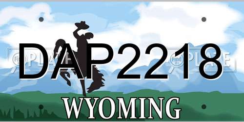DAP2218 Wyoming License Plate