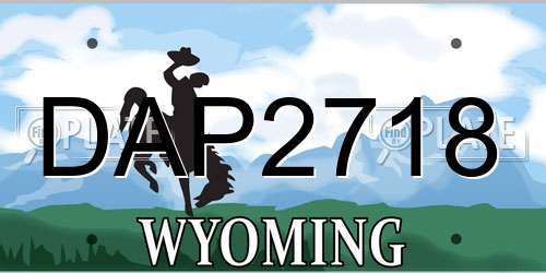 DAP2718 Wyoming License Plate