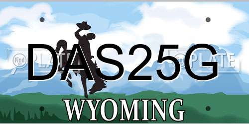 DAS25G Wyoming License Plate