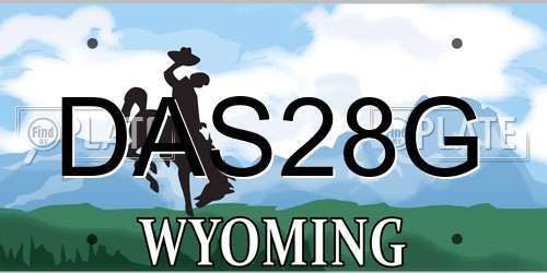 DAS28G Wyoming License Plate