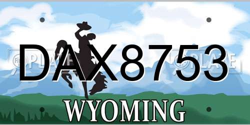 DAX8753 Wyoming License Plate