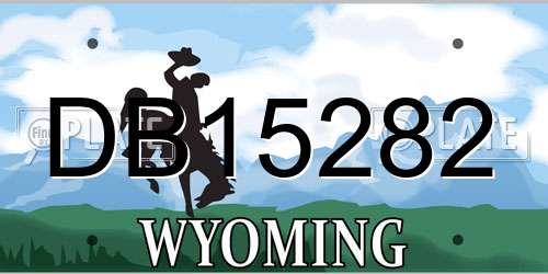 DB15282 Wyoming License Plate