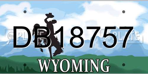 DB18757 Wyoming License Plate