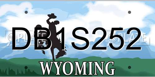 DB1S252 Wyoming License Plate
