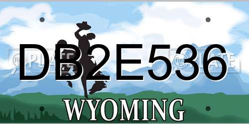 DB2E536 Wyoming License Plate