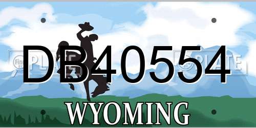 DB40554 Wyoming License Plate