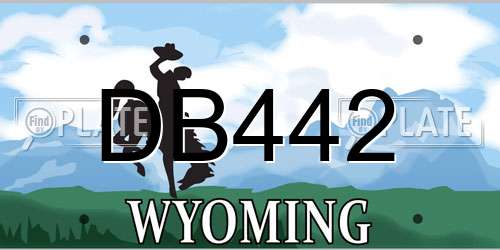 DB442 Wyoming License Plate