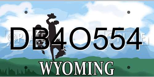 DB4O554 Wyoming License Plate
