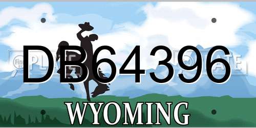 DB64396 Wyoming License Plate