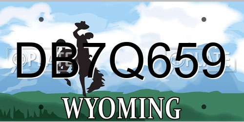 DB7Q659 Wyoming License Plate