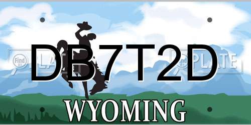 DB7T2D Wyoming License Plate