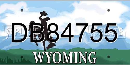 DB84755 Wyoming License Plate