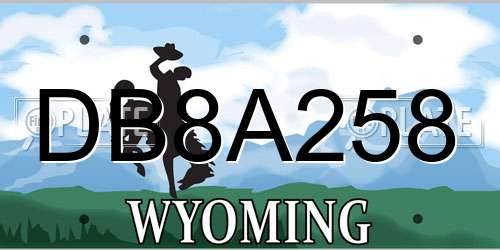 DB8A258 Wyoming License Plate