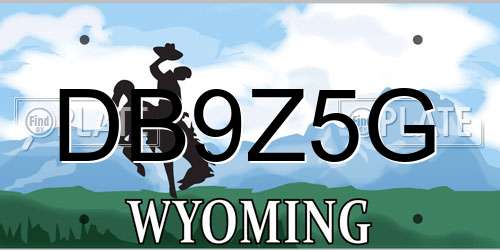 DB9Z5G Wyoming License Plate