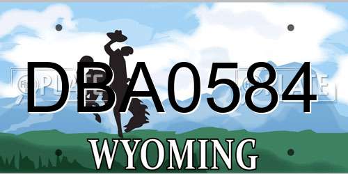 DBA0584 Wyoming License Plate