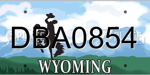 DBA0854 Wyoming License Plate