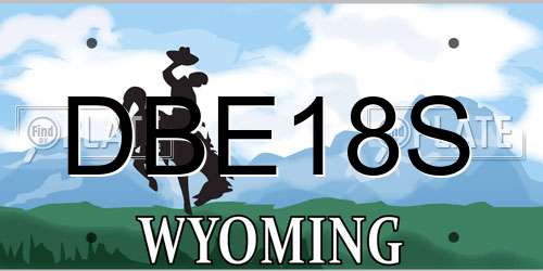 DBE18S Wyoming License Plate