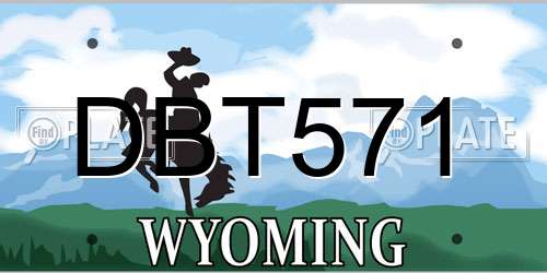 DBT571 Wyoming License Plate