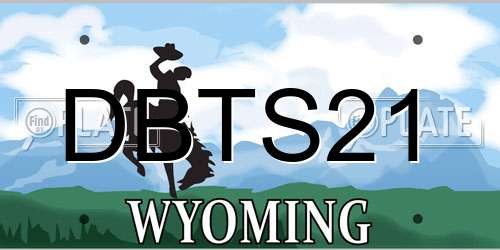 DBTS21 Wyoming License Plate