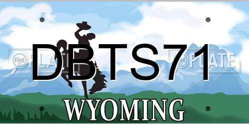 DBTS71 Wyoming License Plate