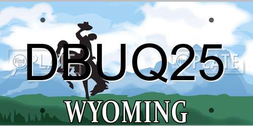 DBUQ25 Wyoming License Plate