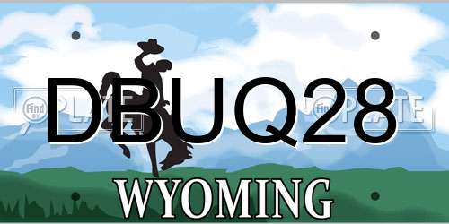 DBUQ28 Wyoming License Plate