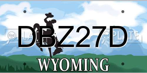 DBZ27D Wyoming License Plate