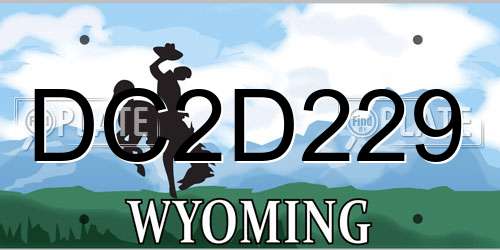 DC2D229 Wyoming License Plate