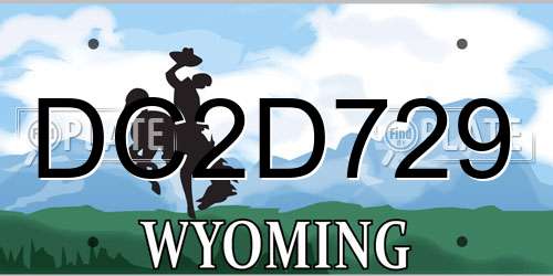 DC2D729 Wyoming License Plate