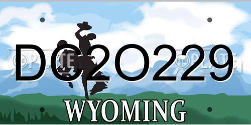 DC2O229 Wyoming License Plate