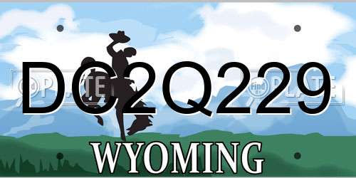 DC2Q229 Wyoming License Plate