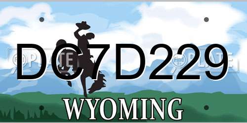 DC7D229 Wyoming License Plate