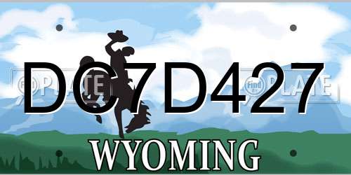 DC7D427 Wyoming License Plate