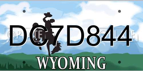 DC7D844 Wyoming License Plate
