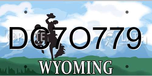 DC7O779 Wyoming License Plate
