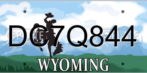 DC7Q844 Wyoming License Plate