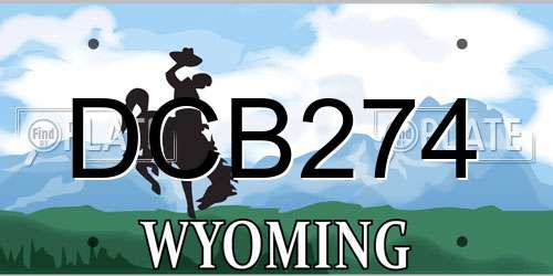 DCB274 Wyoming License Plate
