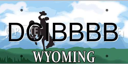 DCIBBBB Wyoming License Plate