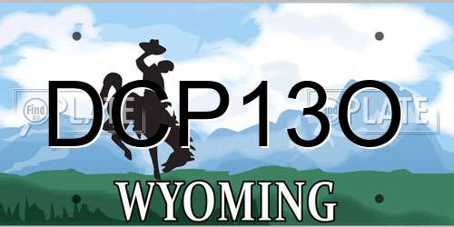 DCP13O Wyoming License Plate