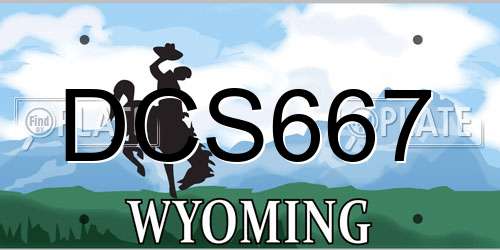 DCS667 Wyoming License Plate