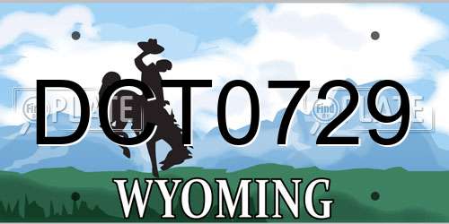 DCT0729 Wyoming License Plate