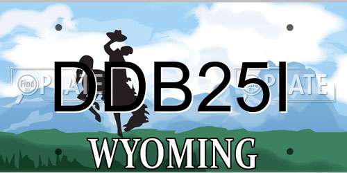 DDB25I Wyoming License Plate